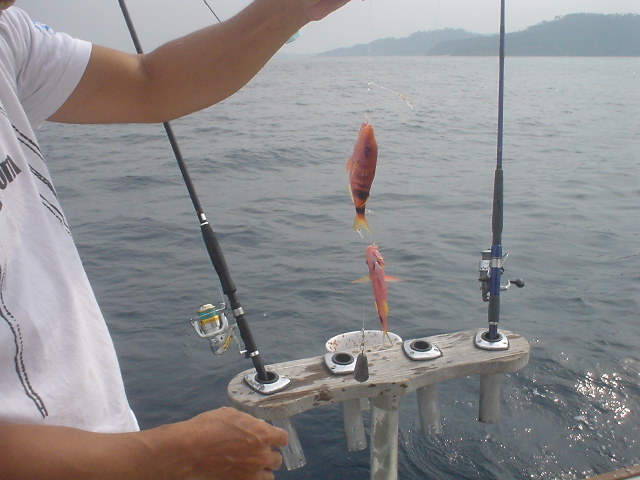西表島で釣り体験